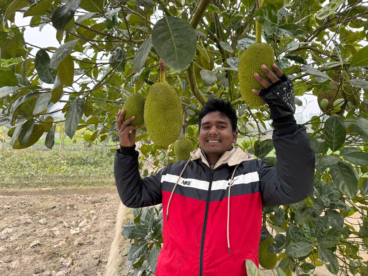 পিং কাঠাল