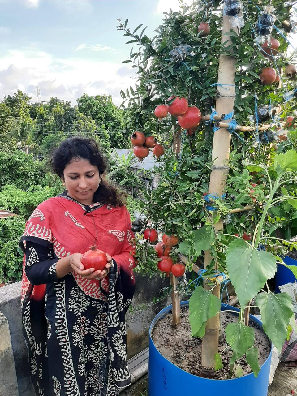 সুপার ভায়াগো আনার